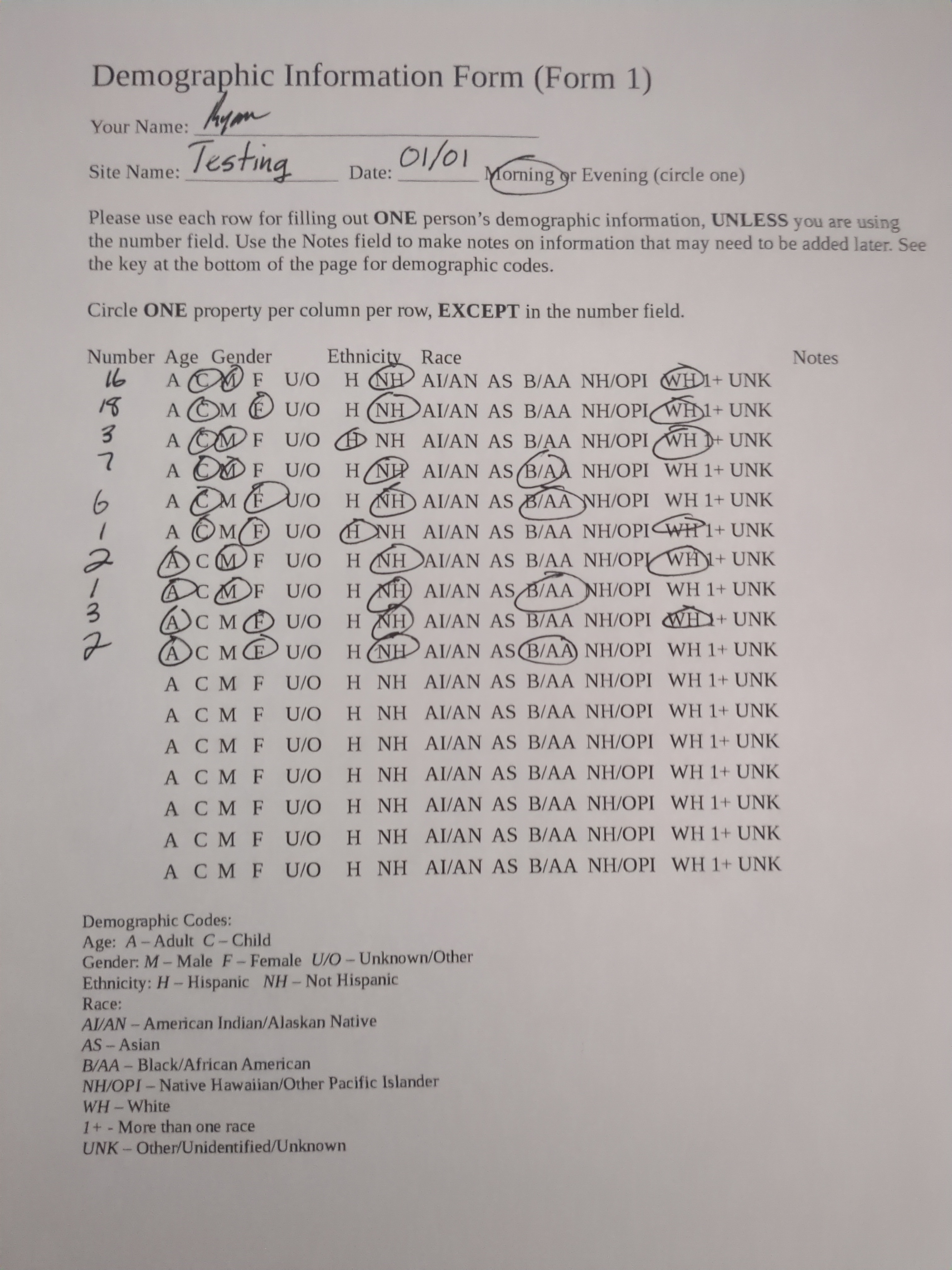 A demographic information form, containing demographic information